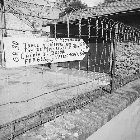 Le Nid Du Saint-Nectaire